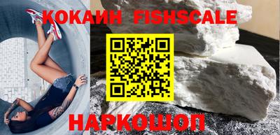кокс Кингисепп