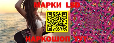 кокс Кингисепп