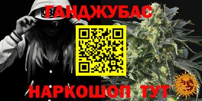 кокс Кингисепп