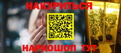 кокс Кингисепп
