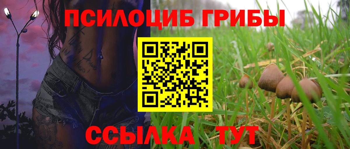 Псилоцибиновые грибы GOLDEN TEACHER  Вход с VPN  Озёрск 